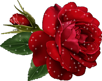 la rose